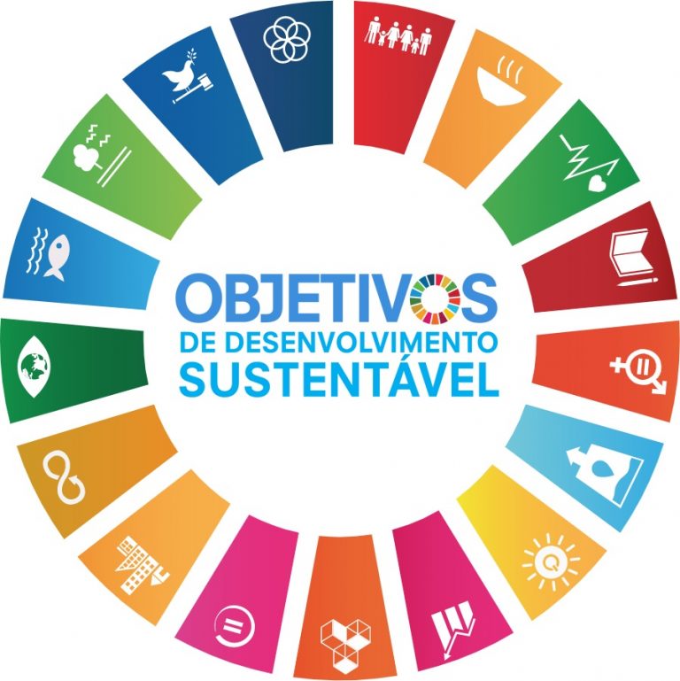 Os Compromissos Da Agenda 2030 Para O Desenvolvimento Sustentável